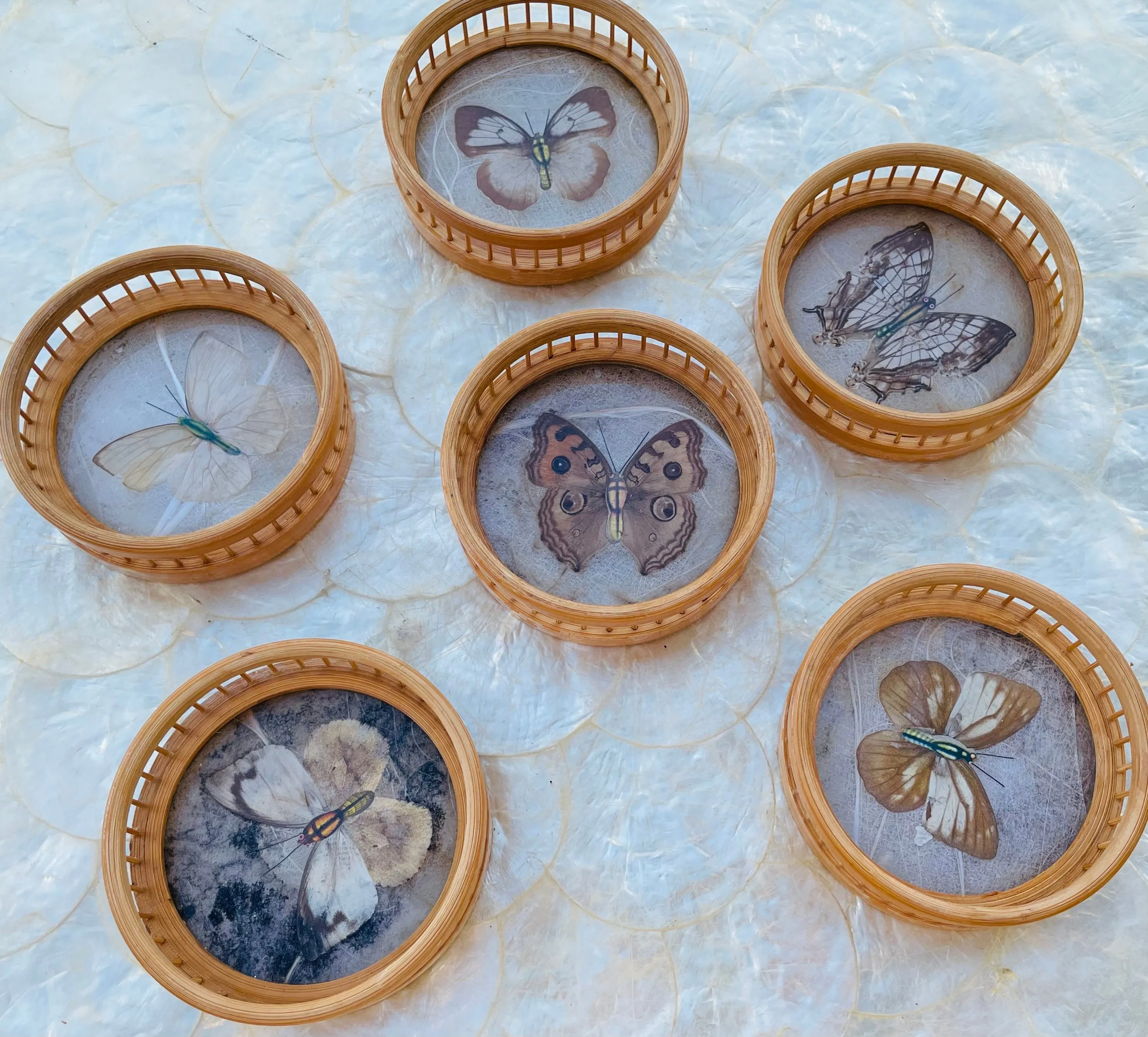 1970's Bamboo Wood Glass Butterfly Specimen Set of 6 Coasters & Serving Tray