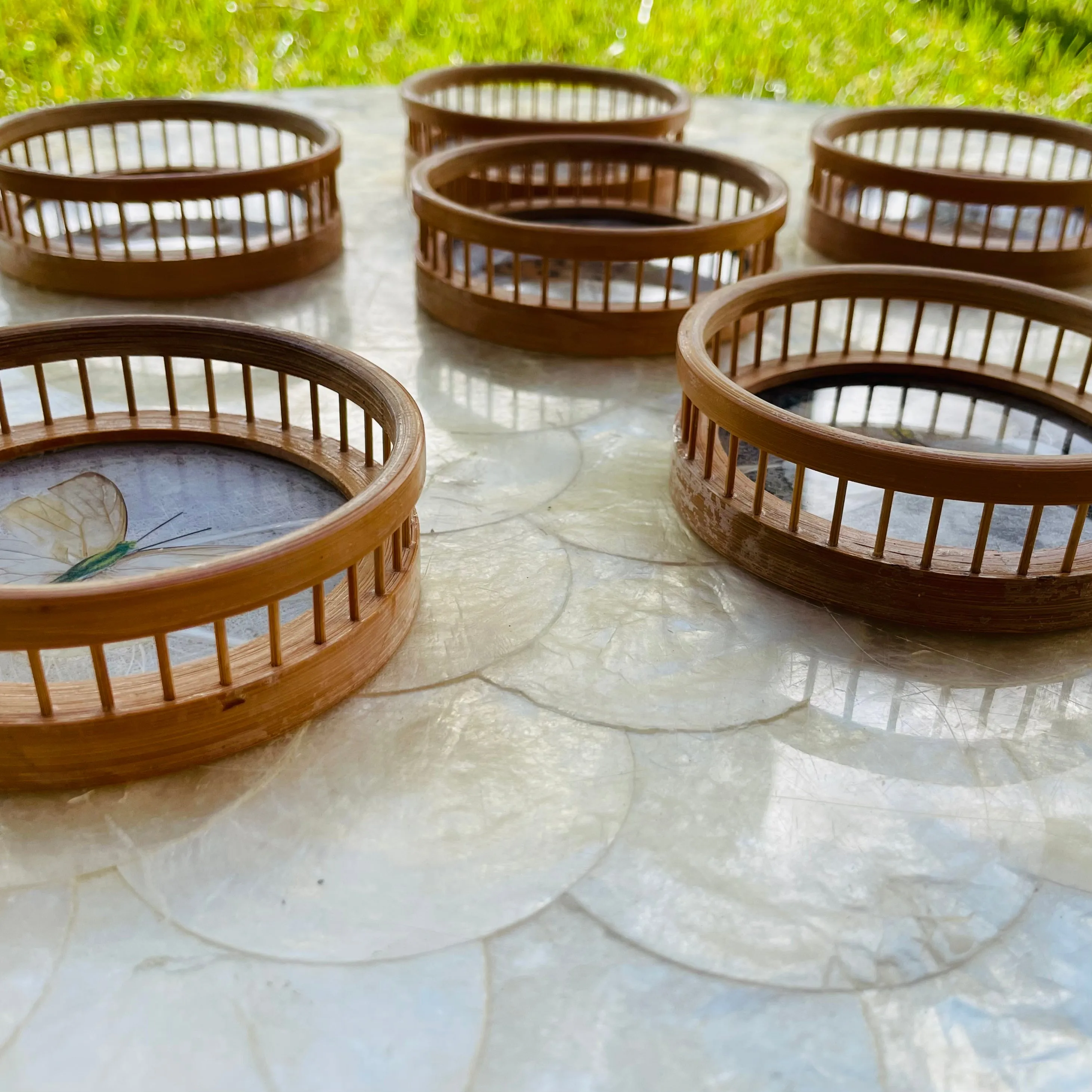 1970's Bamboo Wood Glass Butterfly Specimen Set of 6 Coasters & Serving Tray