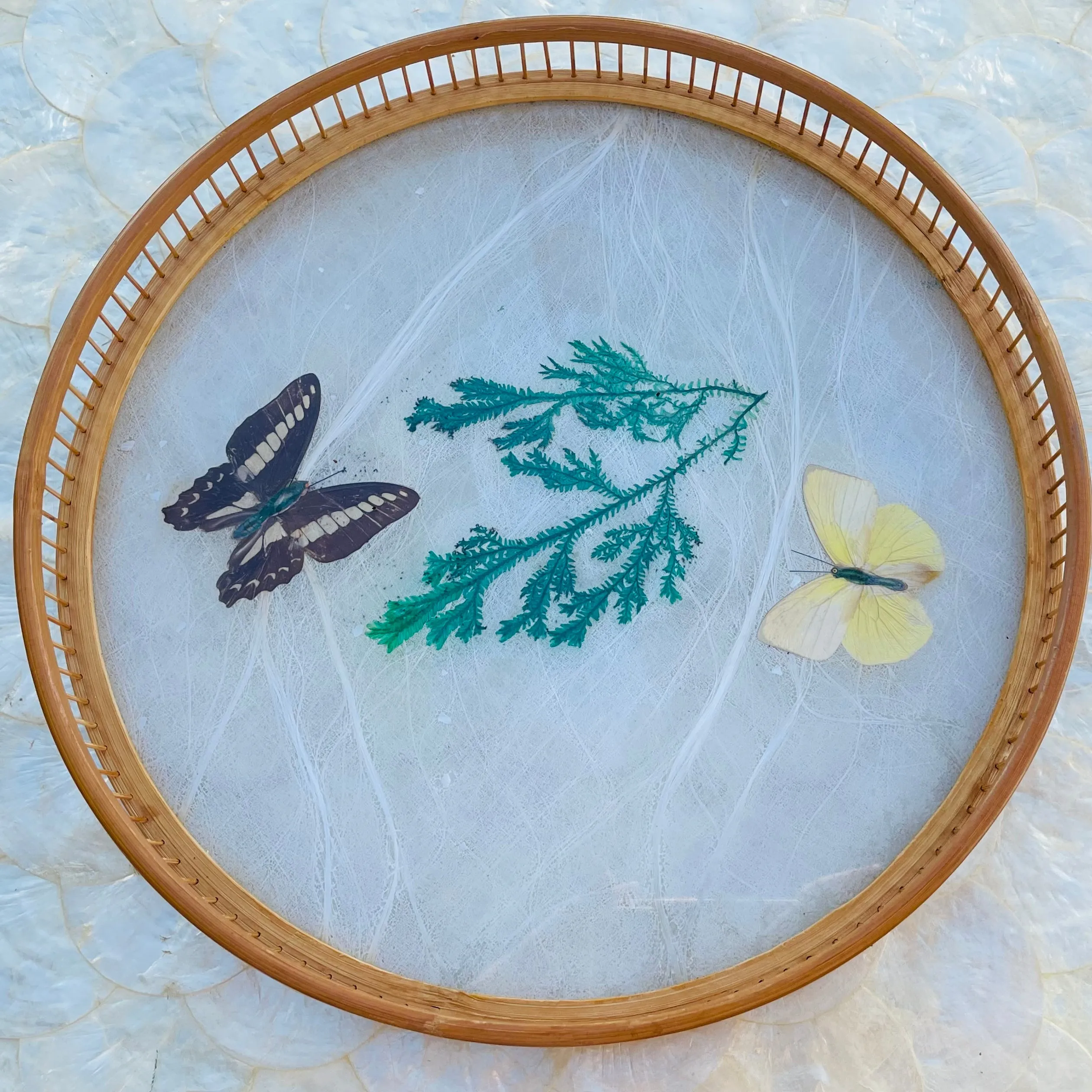 1970's Bamboo Wood Glass Butterfly Specimen Set of 6 Coasters & Serving Tray