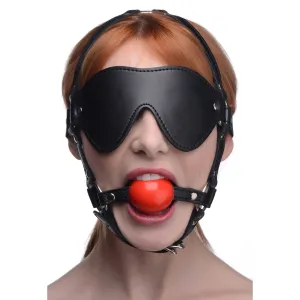 Blindfold Harness and Ball Gag