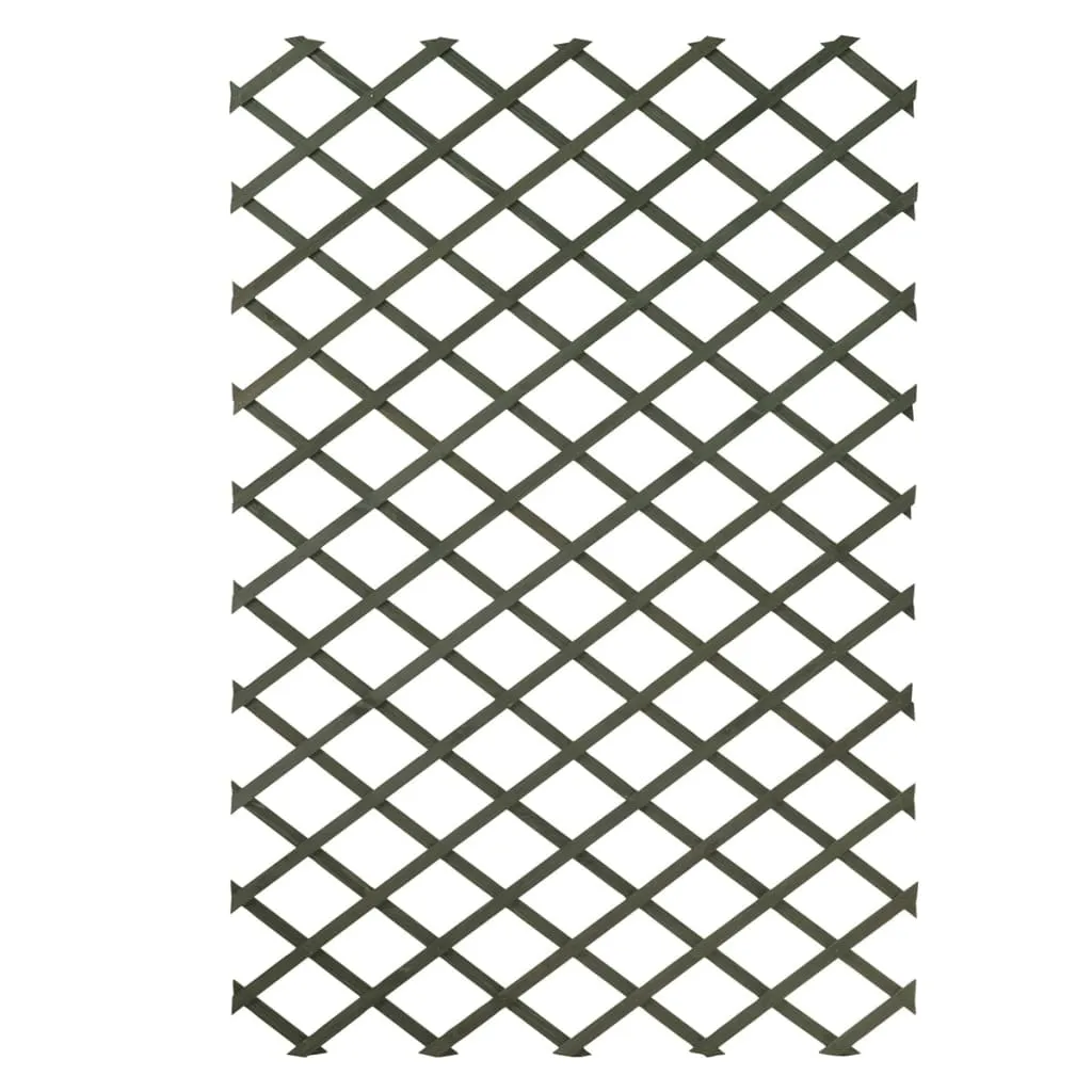 Nature Garden Trellis 100x200 cm Wood Green 6041704