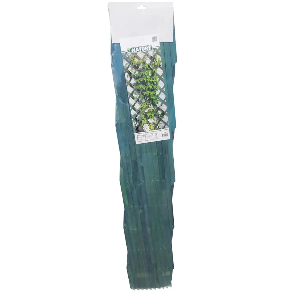 Nature Garden Trellis 100x200 cm Wood Green 6041704