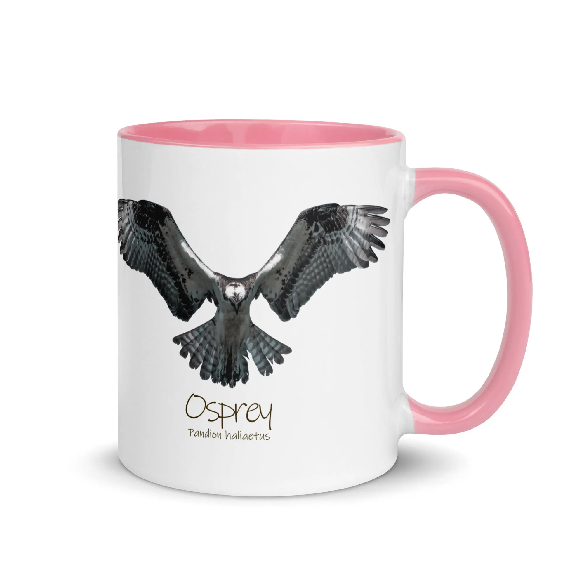 Osprey Hover Mug with Color Inside