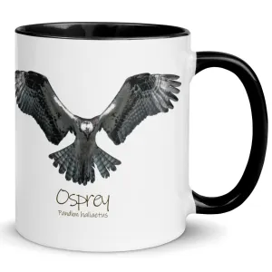 Osprey Hover Mug with Color Inside