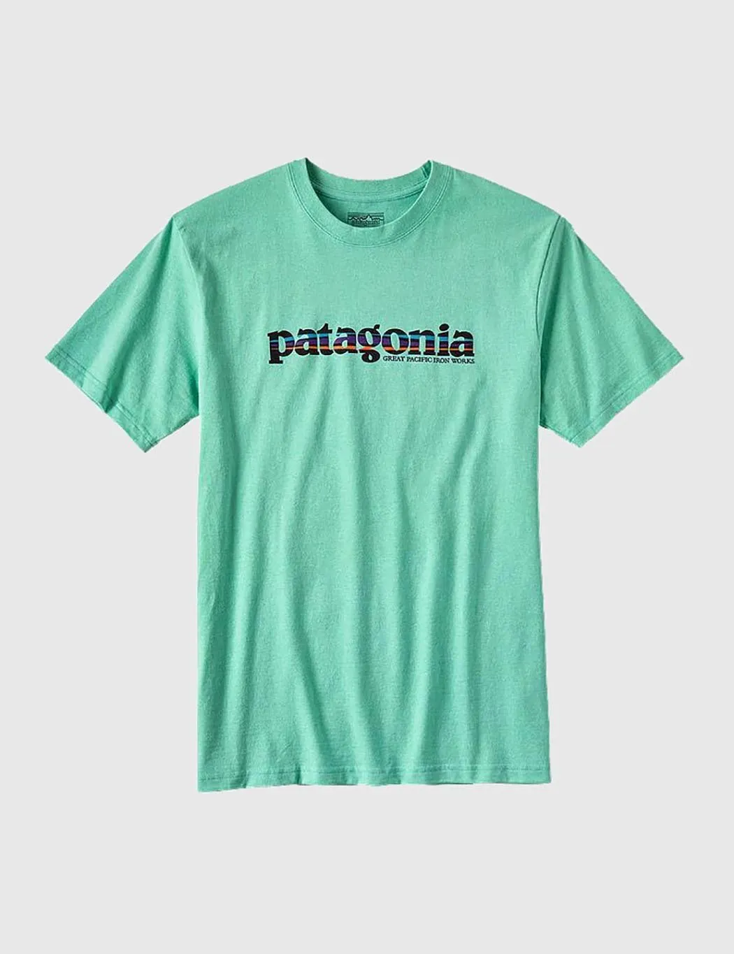 Patagonia 73 Text Logo T-Shirt - Galah Green