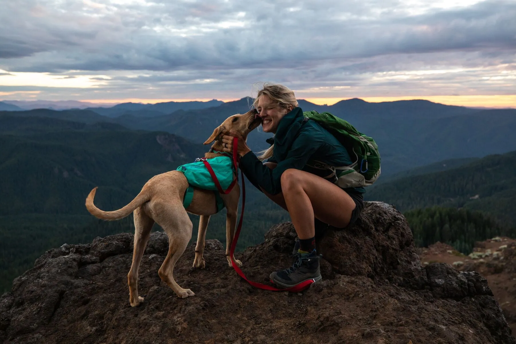 Ruffwear Front Range Day Pack