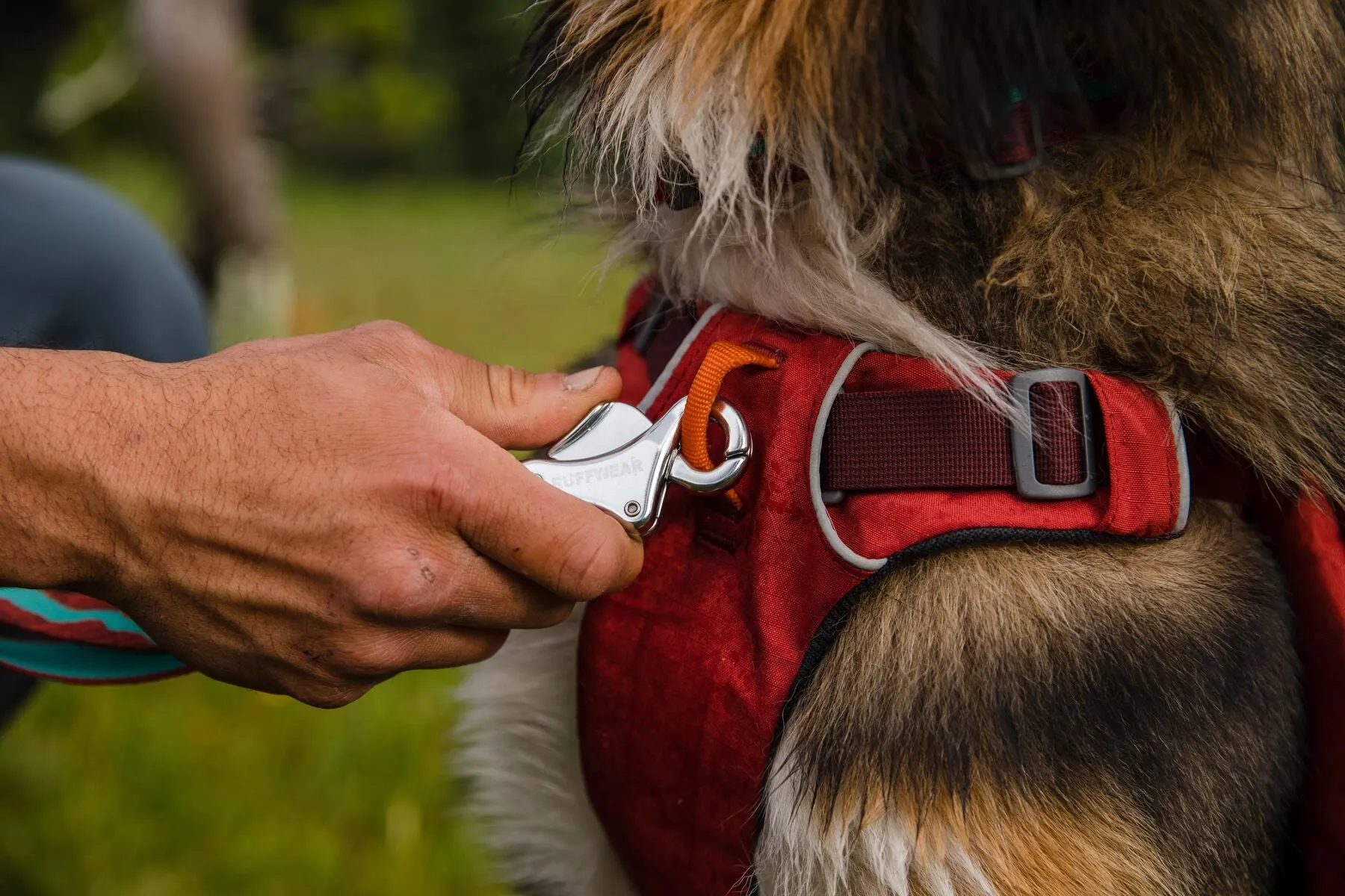 Ruffwear Front Range Day Pack