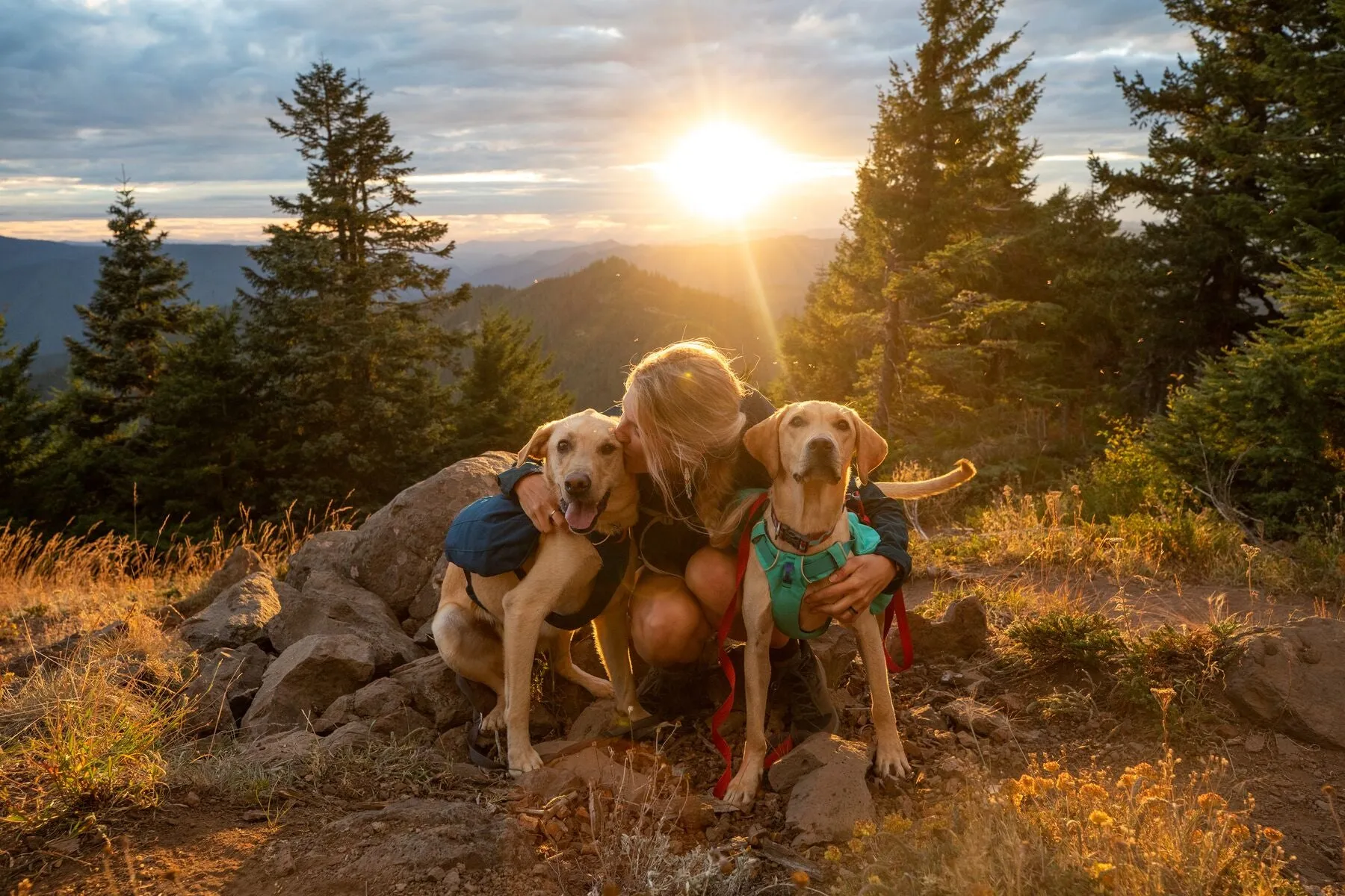 Ruffwear Front Range Day Pack